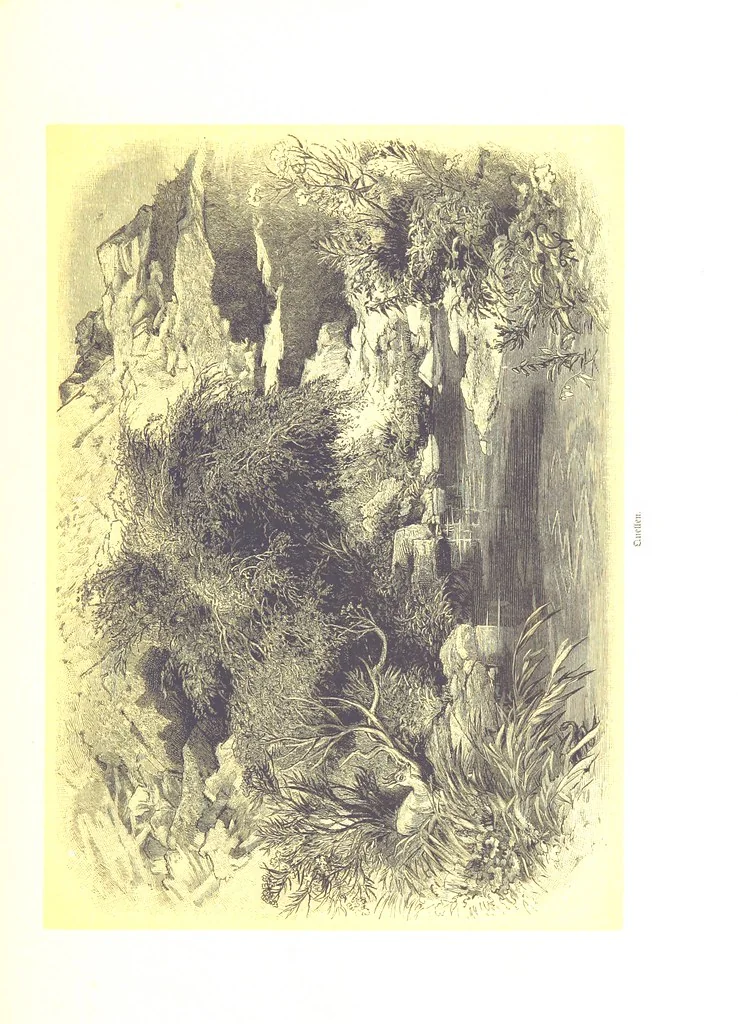 An illustration from Eine Orientreise vom Jahre 1881 ... illustrirt ... von F. von Pausinger, 1885, leaf 299