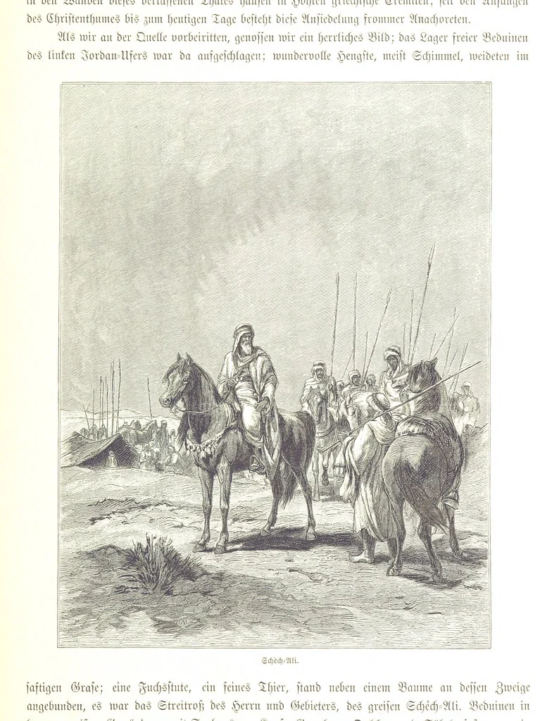 An illustration from Eine Orientreise vom Jahre 1881 ... illustrirt ... von F. von Pausinger, 1885, leaf 301