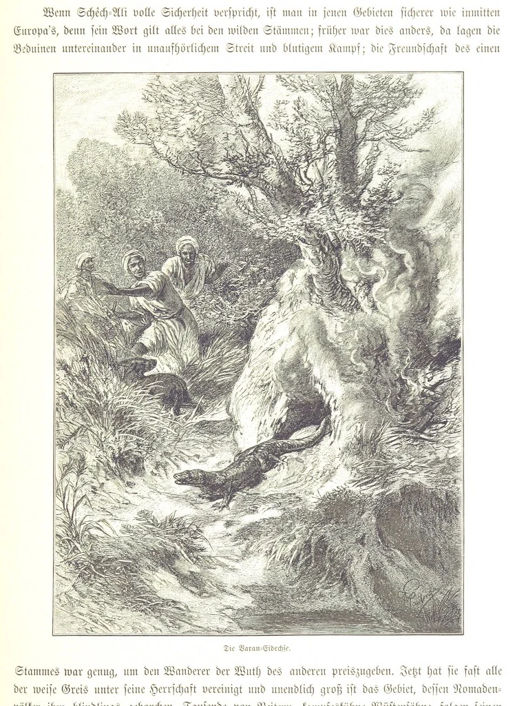 An illustration from Eine Orientreise vom Jahre 1881 ... illustrirt ... von F. von Pausinger, 1885, leaf 305