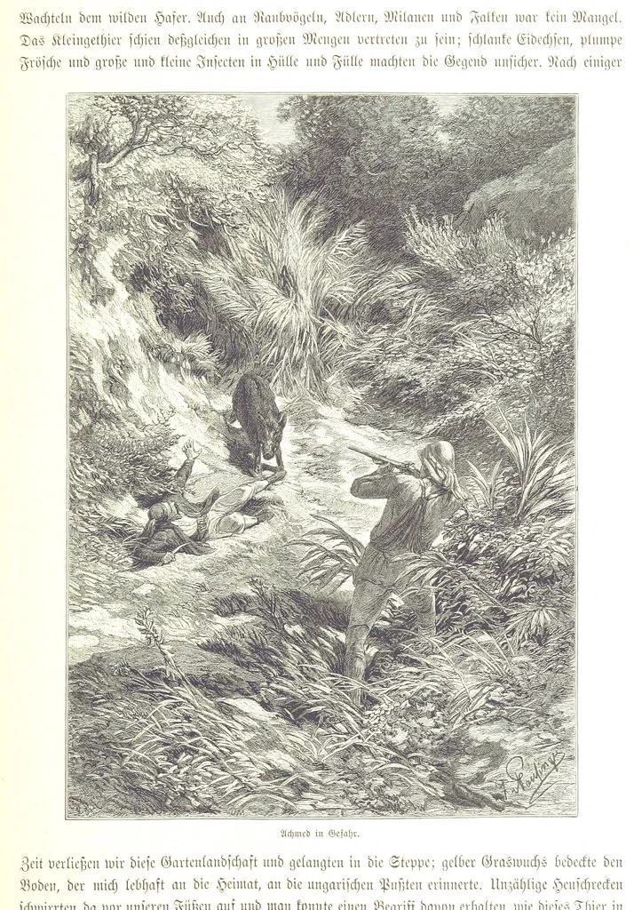 An illustration from Eine Orientreise vom Jahre 1881 ... illustrirt ... von F. von Pausinger, 1885, leaf 307