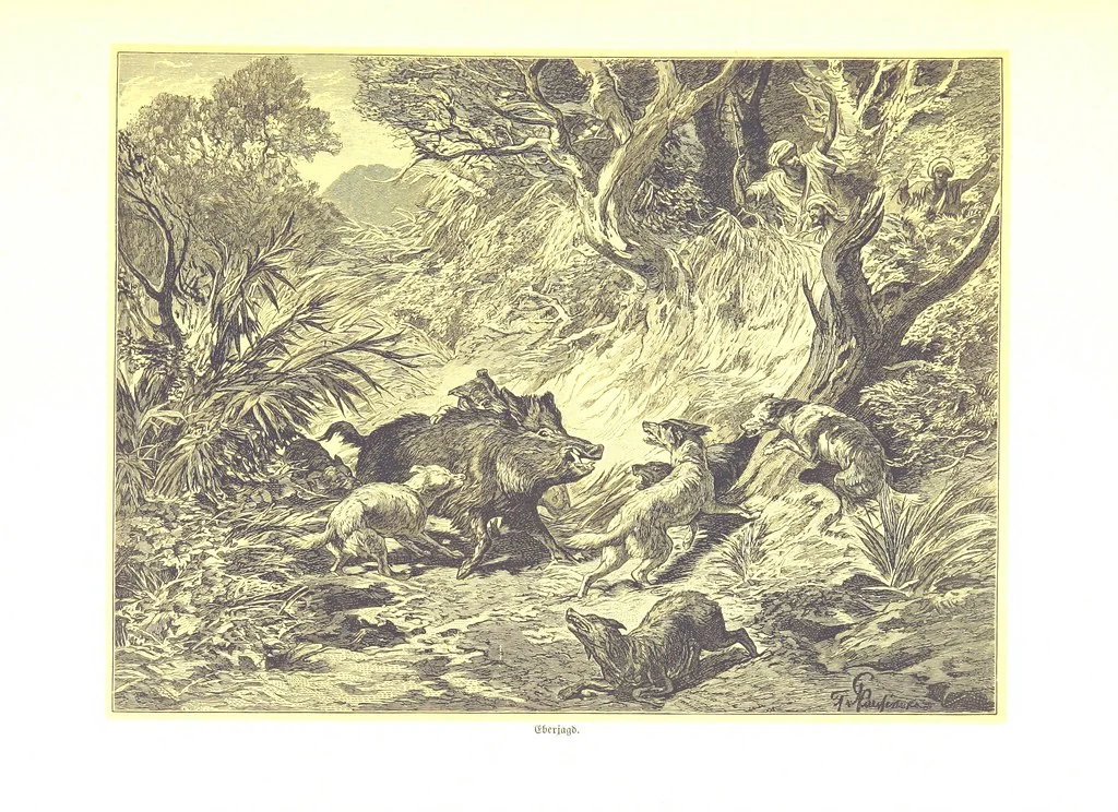 An illustration from Eine Orientreise vom Jahre 1881 ... illustrirt ... von F. von Pausinger, 1885, leaf 309