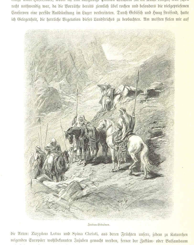 An illustration from Eine Orientreise vom Jahre 1881 ... illustrirt ... von F. von Pausinger, 1885, leaf 316