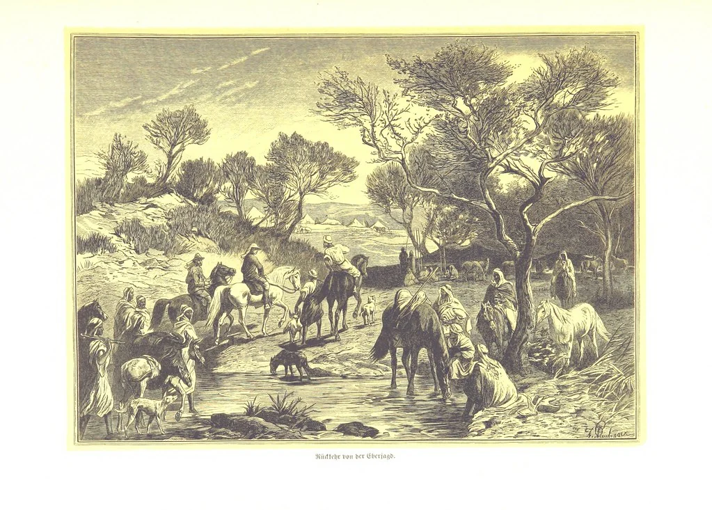 An illustration from Eine Orientreise vom Jahre 1881 ... illustrirt ... von F. von Pausinger, 1885, leaf 317