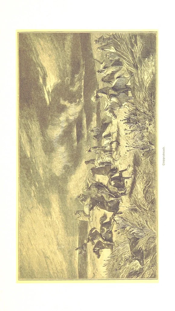 An illustration from Eine Orientreise vom Jahre 1881 ... illustrirt ... von F. von Pausinger, 1885, leaf 325