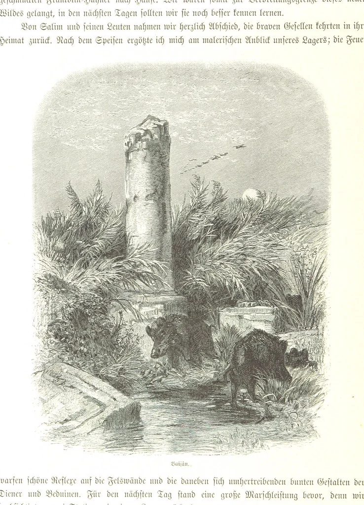 An illustration from Eine Orientreise vom Jahre 1881 ... illustrirt ... von F. von Pausinger, 1885, leaf 328