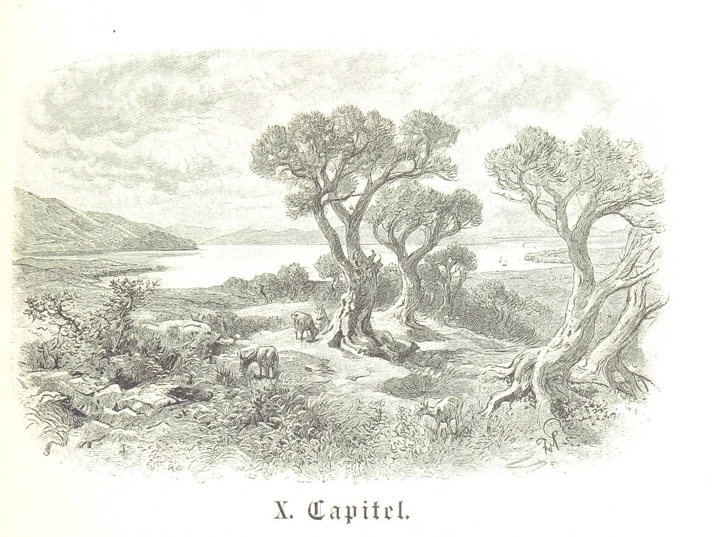 An illustration from Eine Orientreise vom Jahre 1881 ... illustrirt ... von F. von Pausinger, 1885, leaf 345