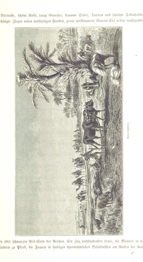 An illustration from Eine Orientreise vom Jahre 1881 ... illustrirt ... von F. von Pausinger, 1885, leaf 39