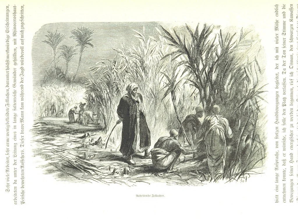 An illustration from Eine Orientreise vom Jahre 1881 ... illustrirt ... von F. von Pausinger, 1885, leaf 42