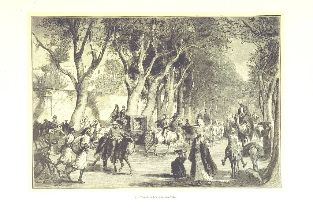 An illustration from Eine Orientreise vom Jahre 1881 ... illustrirt ... von F. von Pausinger, 1885, leaf 53