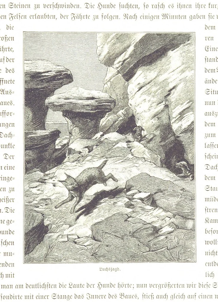 An illustration from Eine Orientreise vom Jahre 1881 ... illustrirt ... von F. von Pausinger, 1885, leaf 79