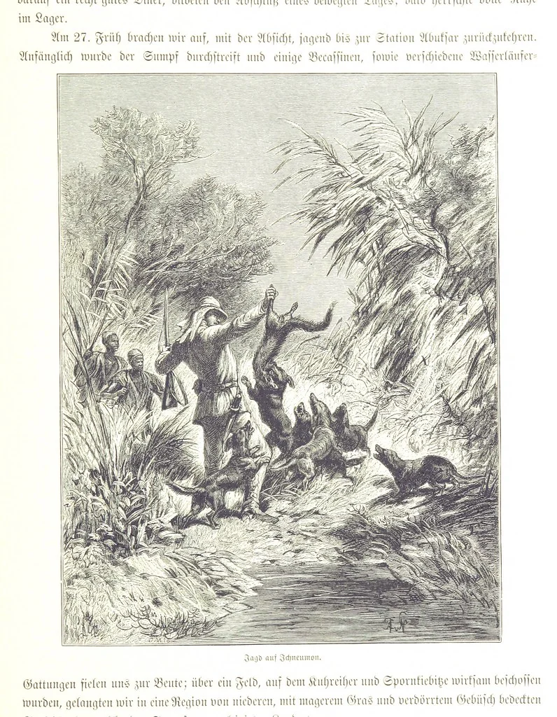 An illustration from Eine Orientreise vom Jahre 1881 ... illustrirt ... von F. von Pausinger, 1885, leaf 89
