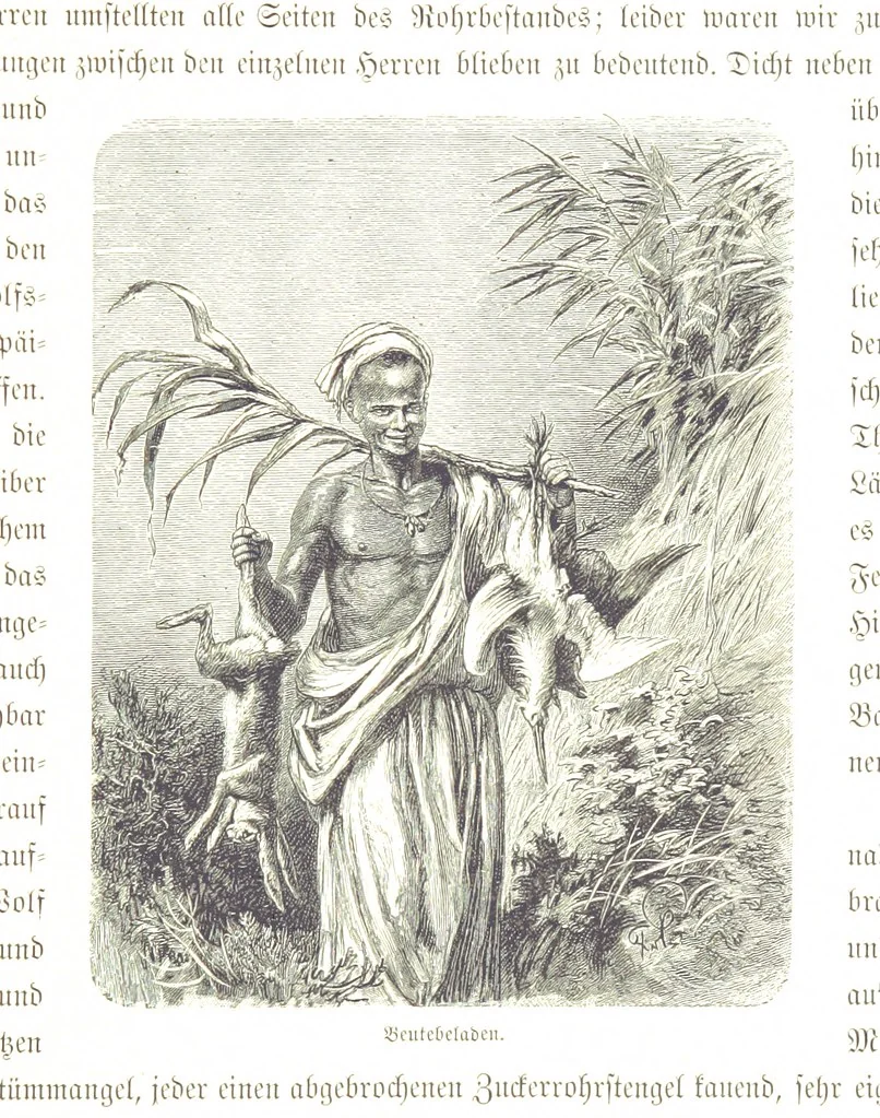An illustration from Eine Orientreise vom Jahre 1881 ... illustrirt ... von F. von Pausinger, 1885, leaf 91
