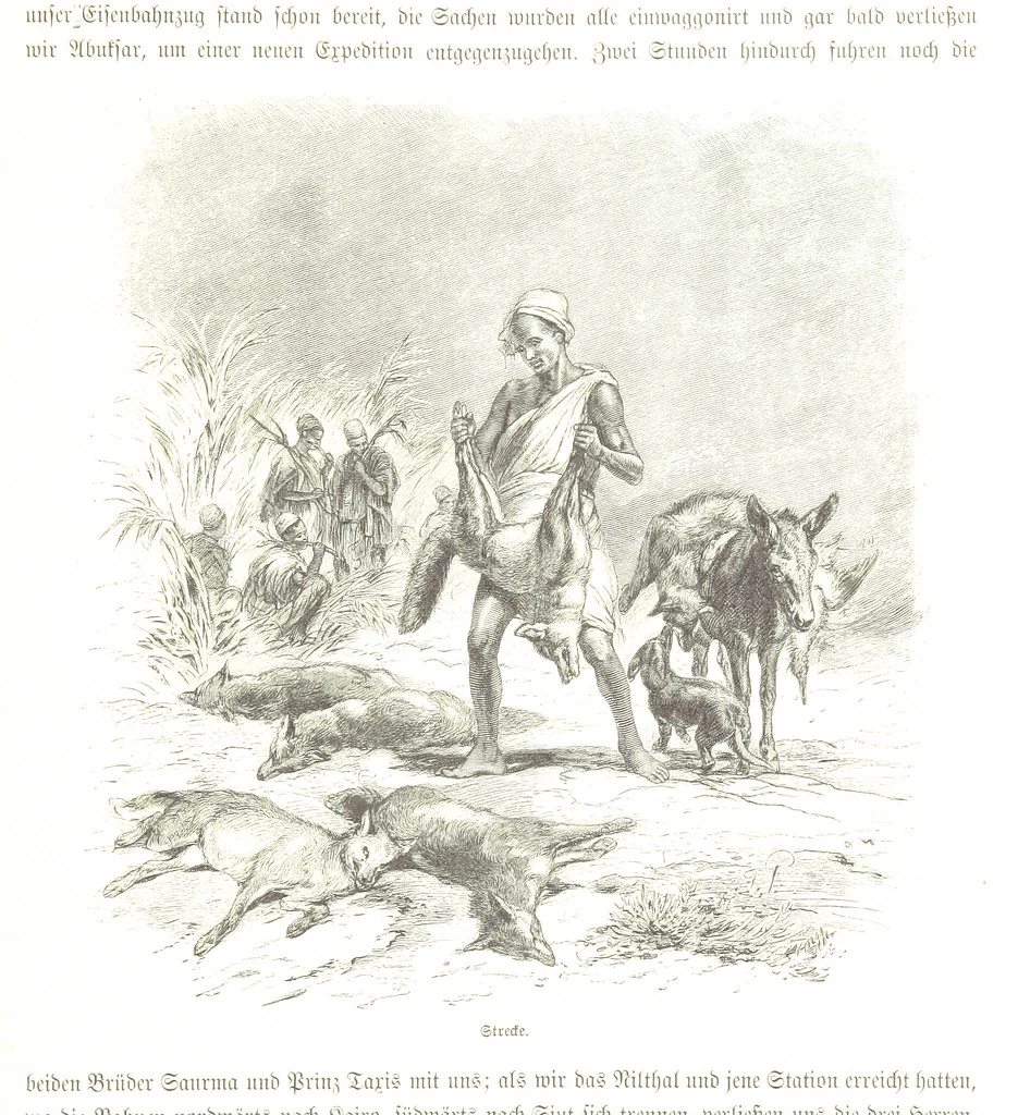 An illustration from Eine Orientreise vom Jahre 1881 ... illustrirt ... von F. von Pausinger, 1885, leaf 95