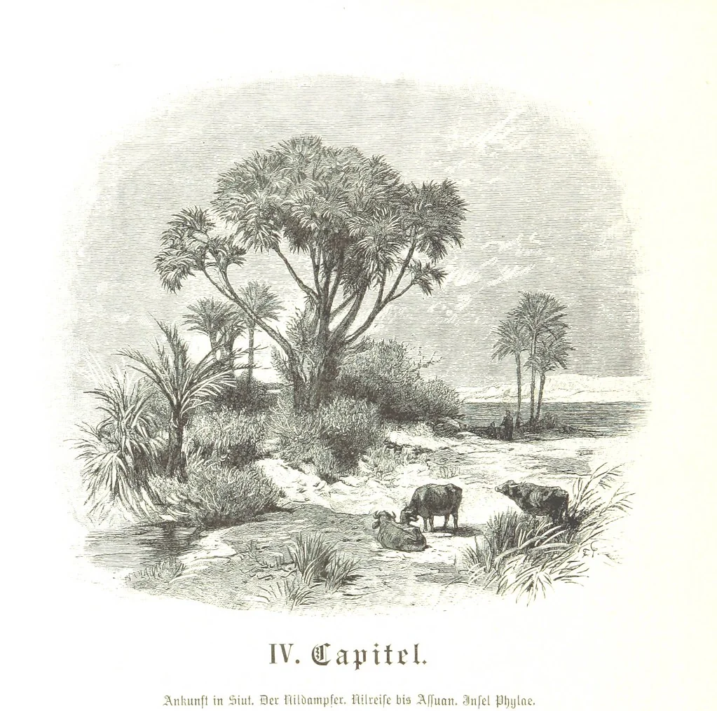 An illustration from Eine Orientreise vom Jahre 1881 ... illustrirt ... von F. von Pausinger, 1885, leaf 96