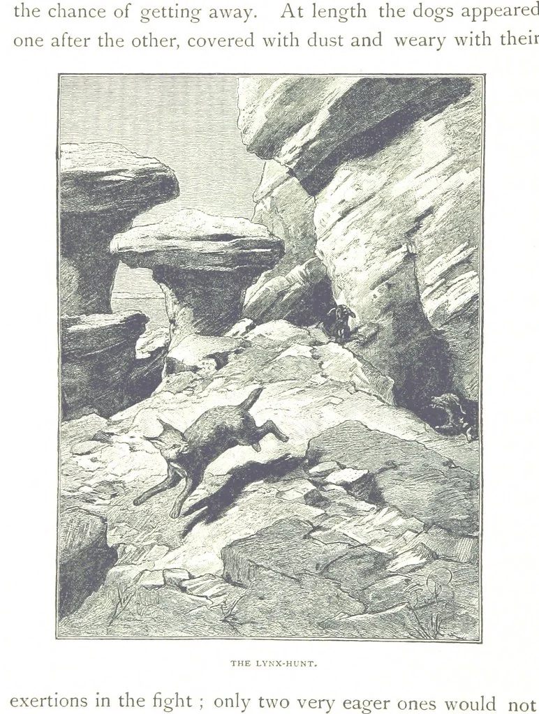 An illustration from Travels in the East; including a visit to Egypt and the Holy Land. [Translated from the German.] ... With ... illustrations by Pausinger, etc, 1884, leaf 146
