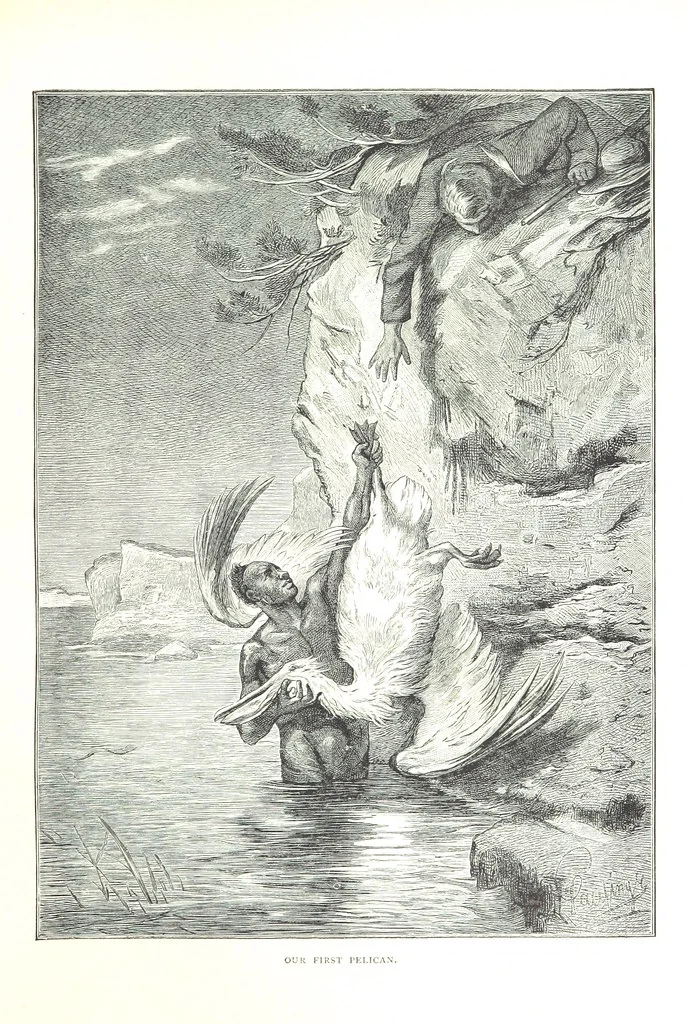 An illustration from Travels in the East; including a visit to Egypt and the Holy Land. [Translated from the German.] ... With ... illustrations by Pausinger, etc, 1884, leaf 153