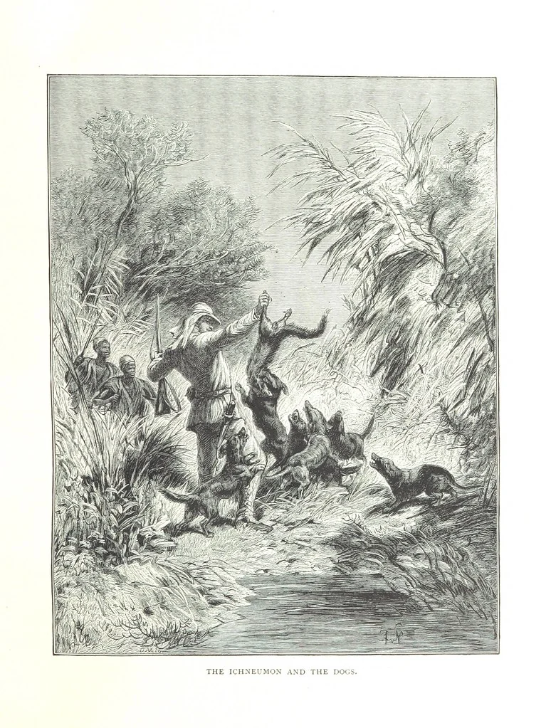 An illustration from Travels in the East; including a visit to Egypt and the Holy Land. [Translated from the German.] ... With ... illustrations by Pausinger, etc, 1884, leaf 163