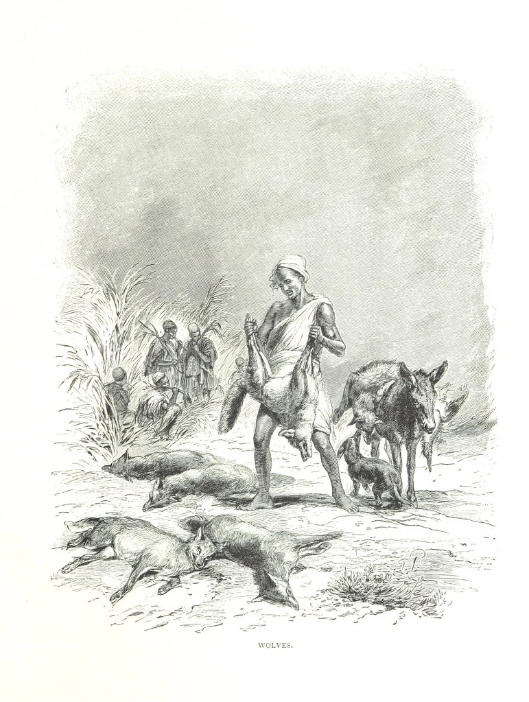 An illustration from Travels in the East; including a visit to Egypt and the Holy Land. [Translated from the German.] ... With ... illustrations by Pausinger, etc, 1884, leaf 177
