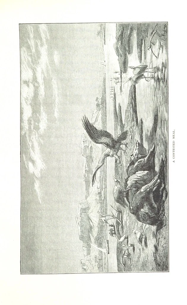 An illustration from Travels in the East; including a visit to Egypt and the Holy Land. [Translated from the German.] ... With ... illustrations by Pausinger, etc, 1884, leaf 227