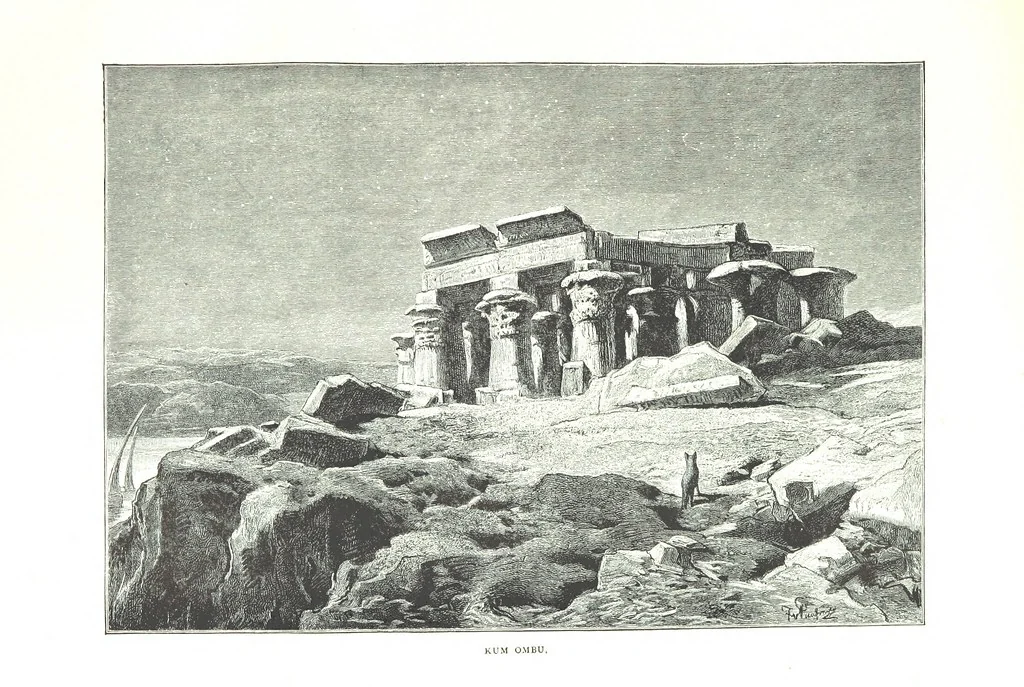 An illustration from Travels in the East; including a visit to Egypt and the Holy Land. [Translated from the German.] ... With ... illustrations by Pausinger, etc, 1884, leaf 237