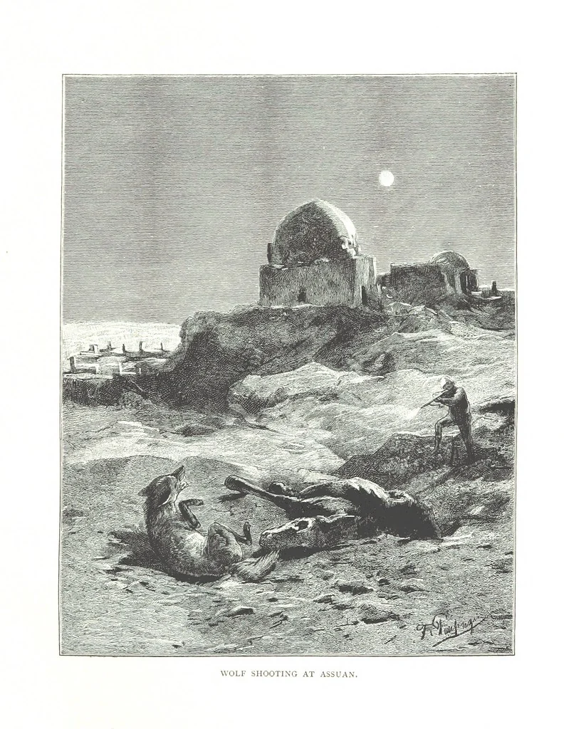 An illustration from Travels in the East; including a visit to Egypt and the Holy Land. [Translated from the German.] ... With ... illustrations by Pausinger, etc, 1884, leaf 253