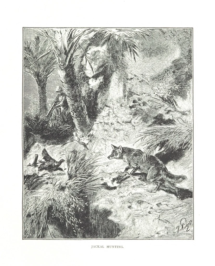 An illustration from Travels in the East; including a visit to Egypt and the Holy Land. [Translated from the German.] ... With ... illustrations by Pausinger, etc, 1884, leaf 269