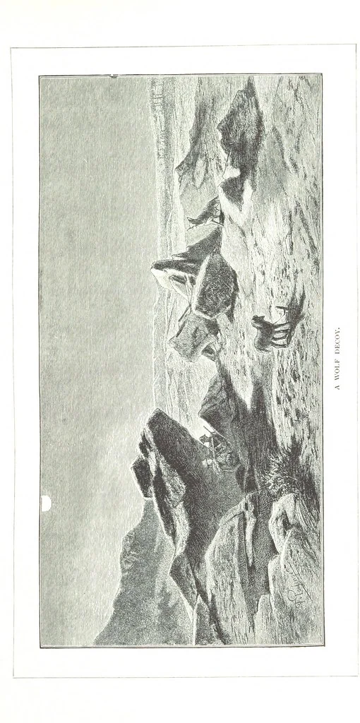 An illustration from Travels in the East; including a visit to Egypt and the Holy Land. [Translated from the German.] ... With ... illustrations by Pausinger, etc, 1884, leaf 273