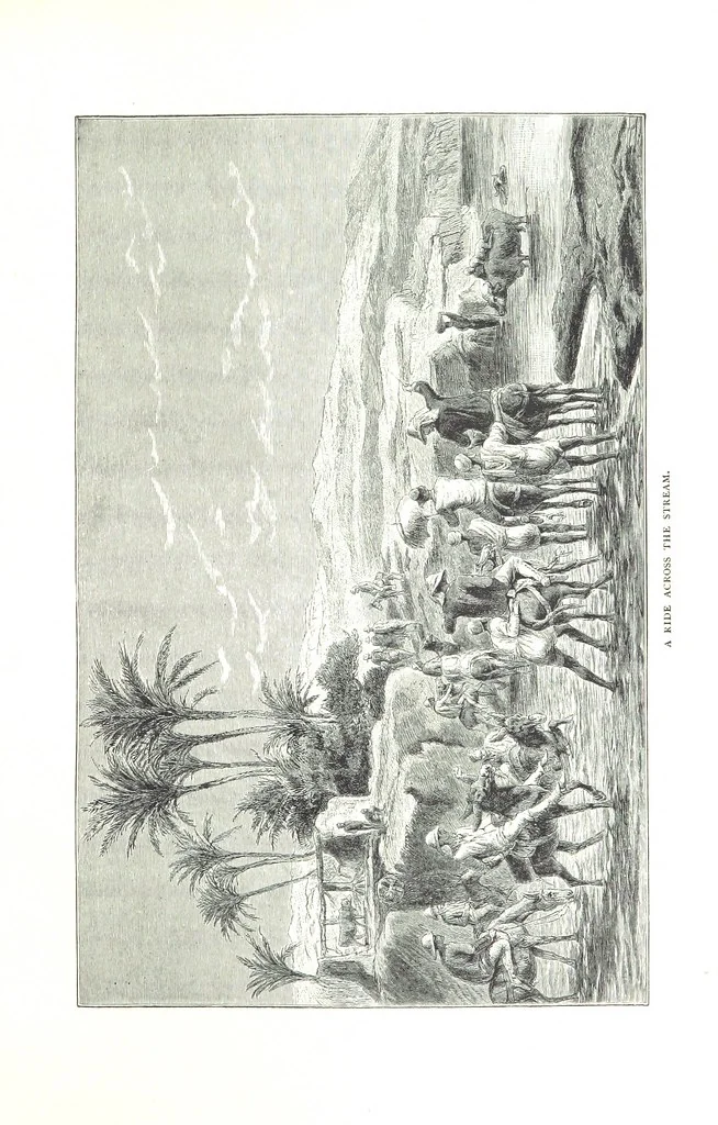 An illustration from Travels in the East; including a visit to Egypt and the Holy Land. [Translated from the German.] ... With ... illustrations by Pausinger, etc, 1884, leaf 277