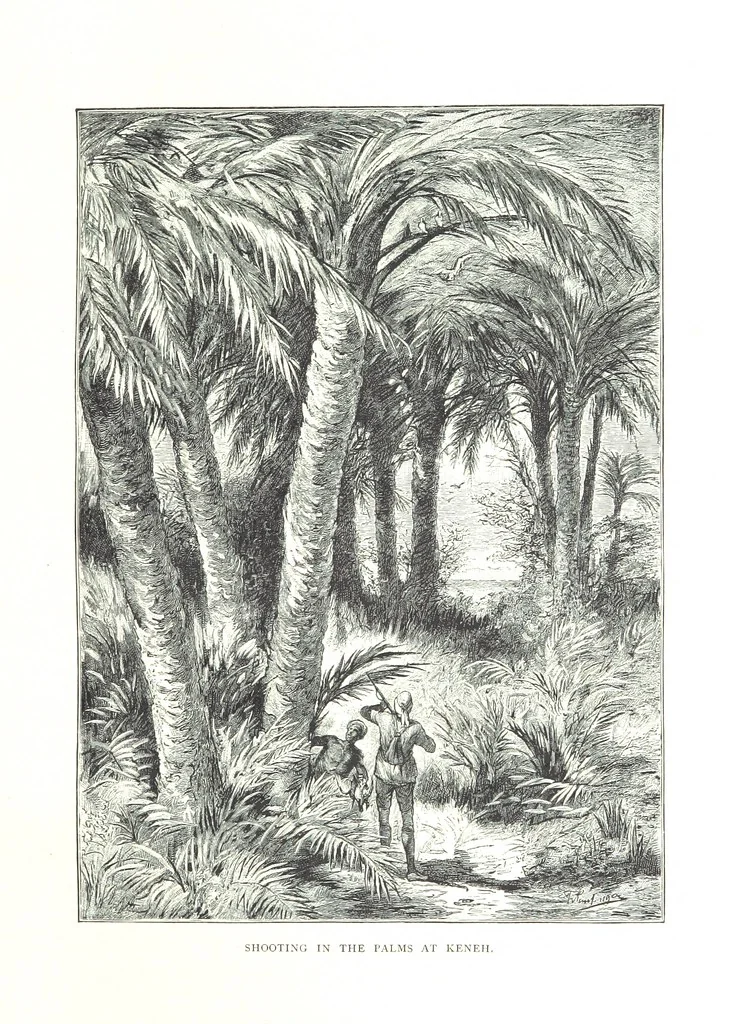 An illustration from Travels in the East; including a visit to Egypt and the Holy Land. [Translated from the German.] ... With ... illustrations by Pausinger, etc, 1884, leaf 301