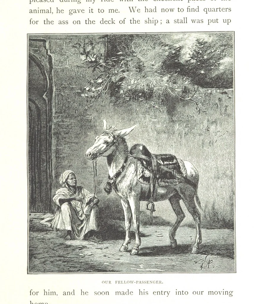 An illustration from Travels in the East; including a visit to Egypt and the Holy Land. [Translated from the German.] ... With ... illustrations by Pausinger, etc, 1884, leaf 305
