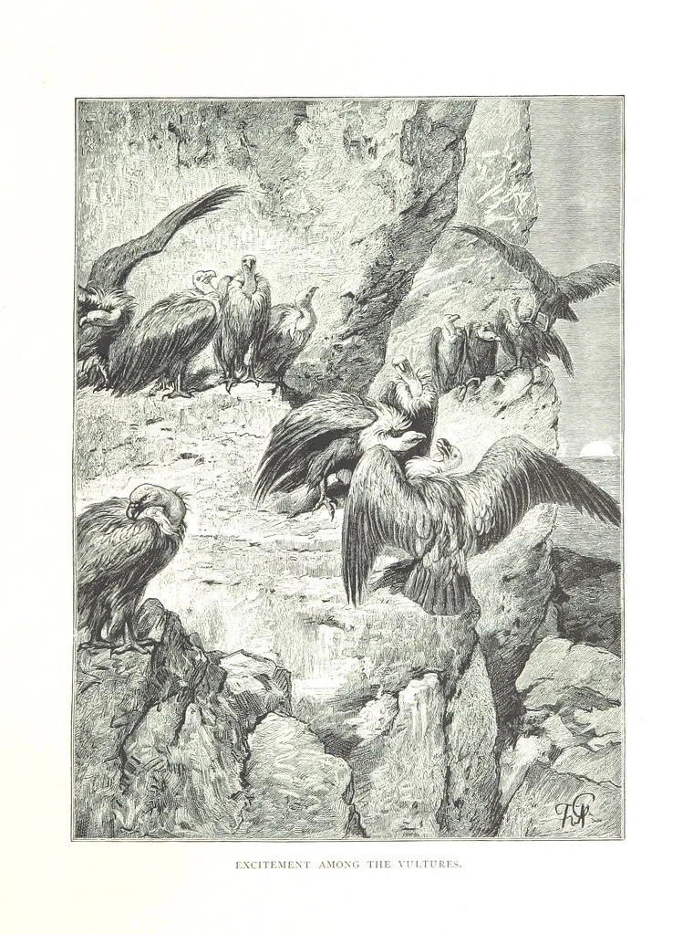 An illustration from Travels in the East; including a visit to Egypt and the Holy Land. [Translated from the German.] ... With ... illustrations by Pausinger, etc, 1884, leaf 309
