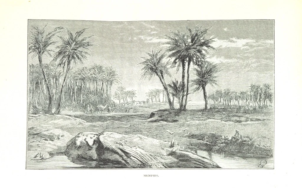 An illustration from Travels in the East; including a visit to Egypt and the Holy Land. [Translated from the German.] ... With ... illustrations by Pausinger, etc, 1884, leaf 315