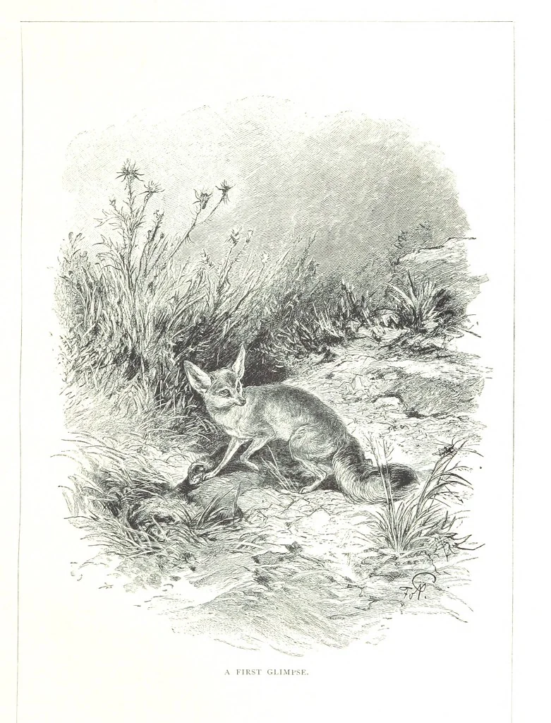 An illustration from Travels in the East; including a visit to Egypt and the Holy Land. [Translated from the German.] ... With ... illustrations by Pausinger, etc, 1884, leaf 453