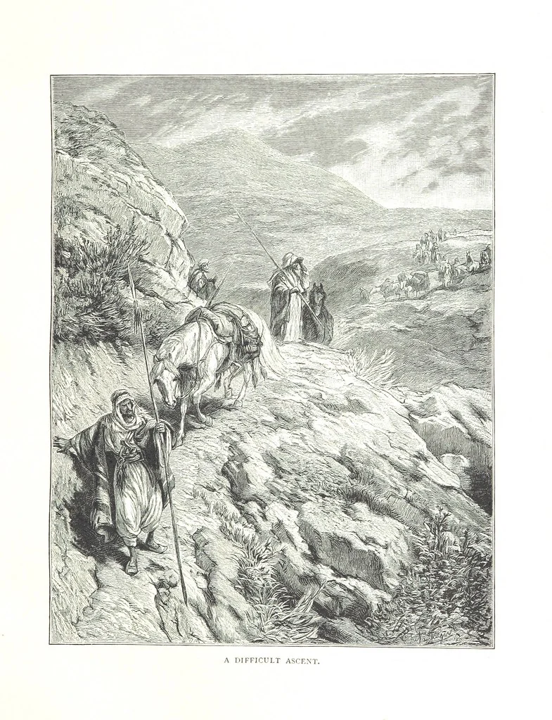 An illustration from Travels in the East; including a visit to Egypt and the Holy Land. [Translated from the German.] ... With ... illustrations by Pausinger, etc, 1884, leaf 479