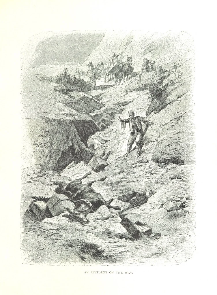 An illustration from Travels in the East; including a visit to Egypt and the Holy Land. [Translated from the German.] ... With ... illustrations by Pausinger, etc, 1884, leaf 491