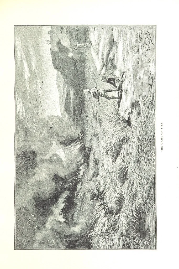 An illustration from Travels in the East; including a visit to Egypt and the Holy Land. [Translated from the German.] ... With ... illustrations by Pausinger, etc, 1884, leaf 495