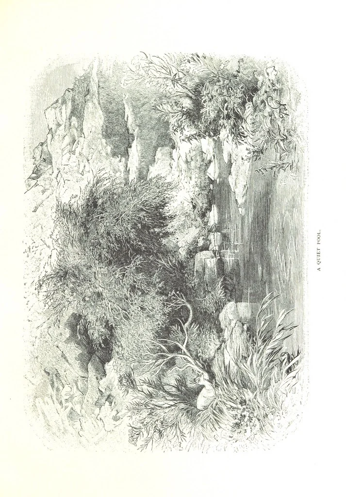 An illustration from Travels in the East; including a visit to Egypt and the Holy Land. [Translated from the German.] ... With ... illustrations by Pausinger, etc, 1884, leaf 499