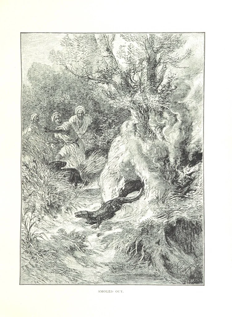 An illustration from Travels in the East; including a visit to Egypt and the Holy Land. [Translated from the German.] ... With ... illustrations by Pausinger, etc, 1884, leaf 511