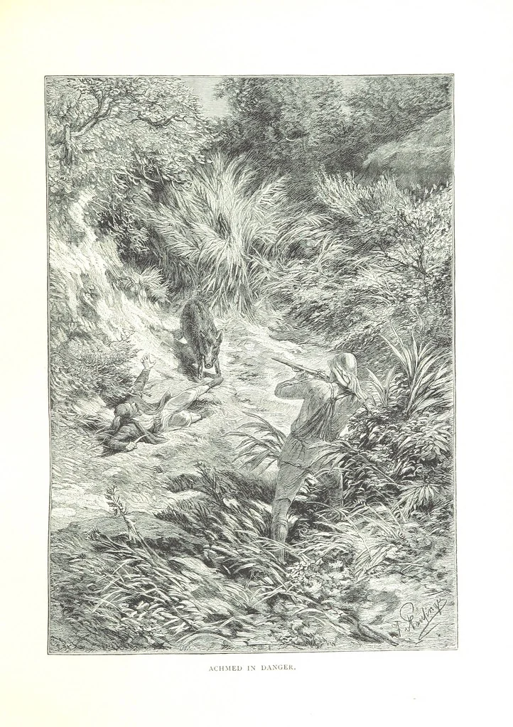 An illustration from Travels in the East; including a visit to Egypt and the Holy Land. [Translated from the German.] ... With ... illustrations by Pausinger, etc, 1884, leaf 515
