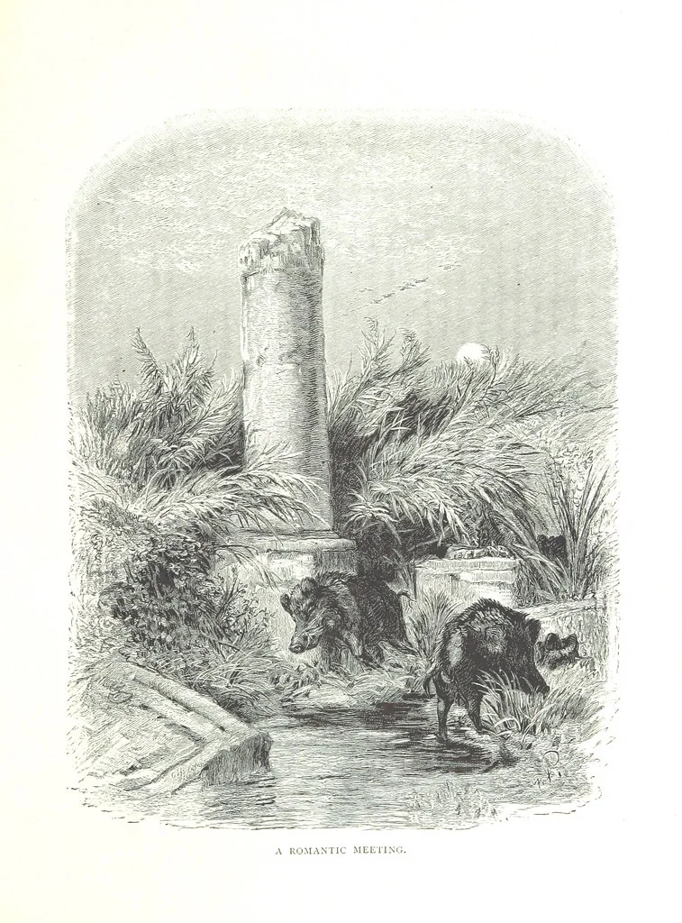 An illustration from Travels in the East; including a visit to Egypt and the Holy Land. [Translated from the German.] ... With ... illustrations by Pausinger, etc, 1884, leaf 551