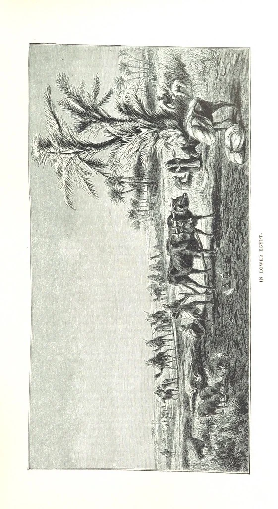 An illustration from Travels in the East; including a visit to Egypt and the Holy Land. [Translated from the German.] ... With ... illustrations by Pausinger, etc, 1884, leaf 71