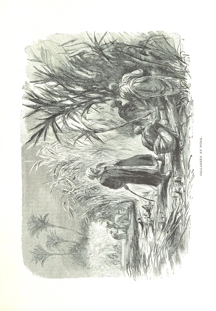 An illustration from Travels in the East; including a visit to Egypt and the Holy Land. [Translated from the German.] ... With ... illustrations by Pausinger, etc, 1884, leaf 79
