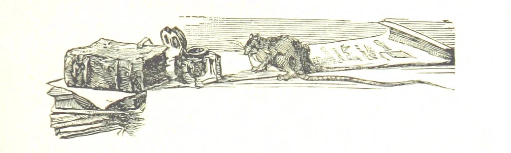 An illustration from La Florida; su conquista y colonización por P. Menéndez de Avilés. [Illustrated, 1893, leaf 279