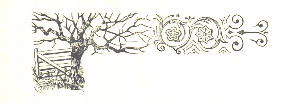 An illustration from La Florida; su conquista y colonización por P. Menéndez de Avilés. [Illustrated, 1893, leaf 289