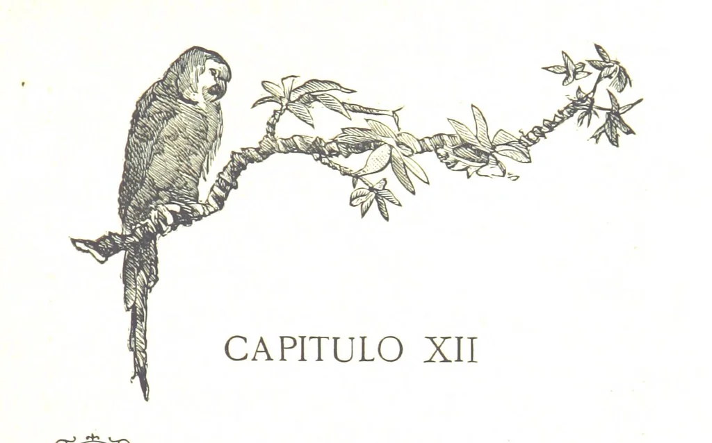 An illustration from La Florida; su conquista y colonización por P. Menéndez de Avilés. [Illustrated, 1893, leaf 401