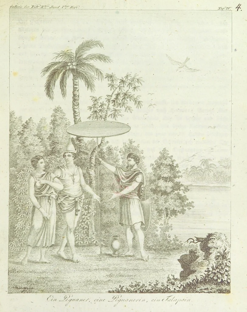 An illustration from Gallerie der Welt, in einer bildlichen und beschreibenden Darstellung von merkwürdigen Ländern: von Völkern ... von Thieren ... von alten und neuen Denkmälern ... Neue verbesserte Auflage. Mit ... Kupfertafeln, 1805, leaf 105
