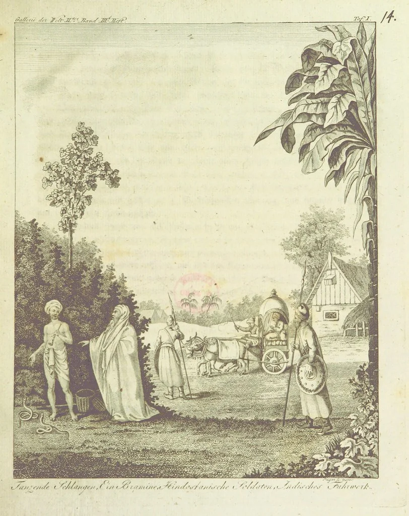 An illustration from Gallerie der Welt, in einer bildlichen und beschreibenden Darstellung von merkwürdigen Ländern: von Völkern ... von Thieren ... von alten und neuen Denkmälern ... Neue verbesserte Auflage. Mit ... Kupfertafeln, 1805, leaf 377