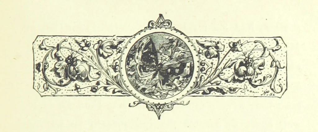 An illustration from Who Fired the First Shot? or, Ned Rusheen. An Irish story, 1883, leaf 115