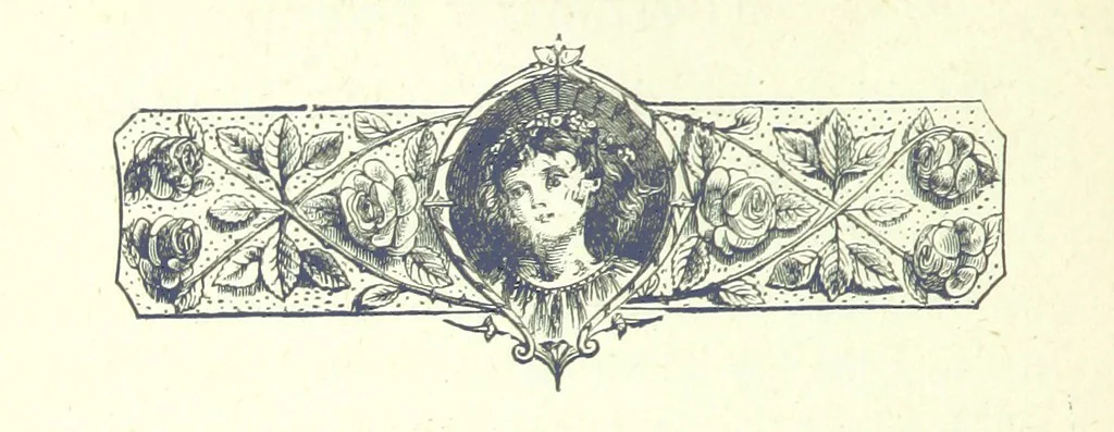 An illustration from Who Fired the First Shot? or, Ned Rusheen. An Irish story, 1883, leaf 132