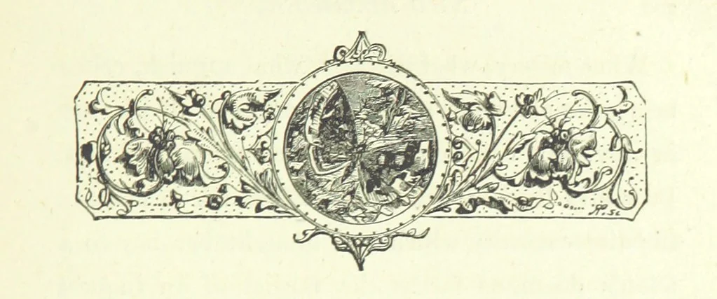 An illustration from Who Fired the First Shot? or, Ned Rusheen. An Irish story, 1883, leaf 215